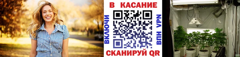 Магазины продажи наркотиков Новосибирск Cocaine mega ссылка ГАШ МАРИХУАНА Мефедрон ГЕРОИН
