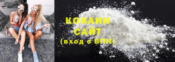 дживик Верея