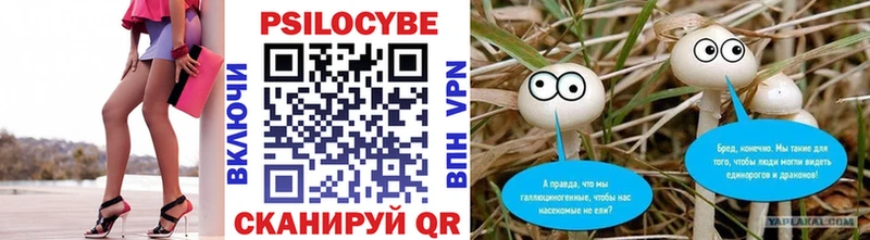 Галлюциногенные грибы Psilocybe  OMG как войти  Новосибирск 